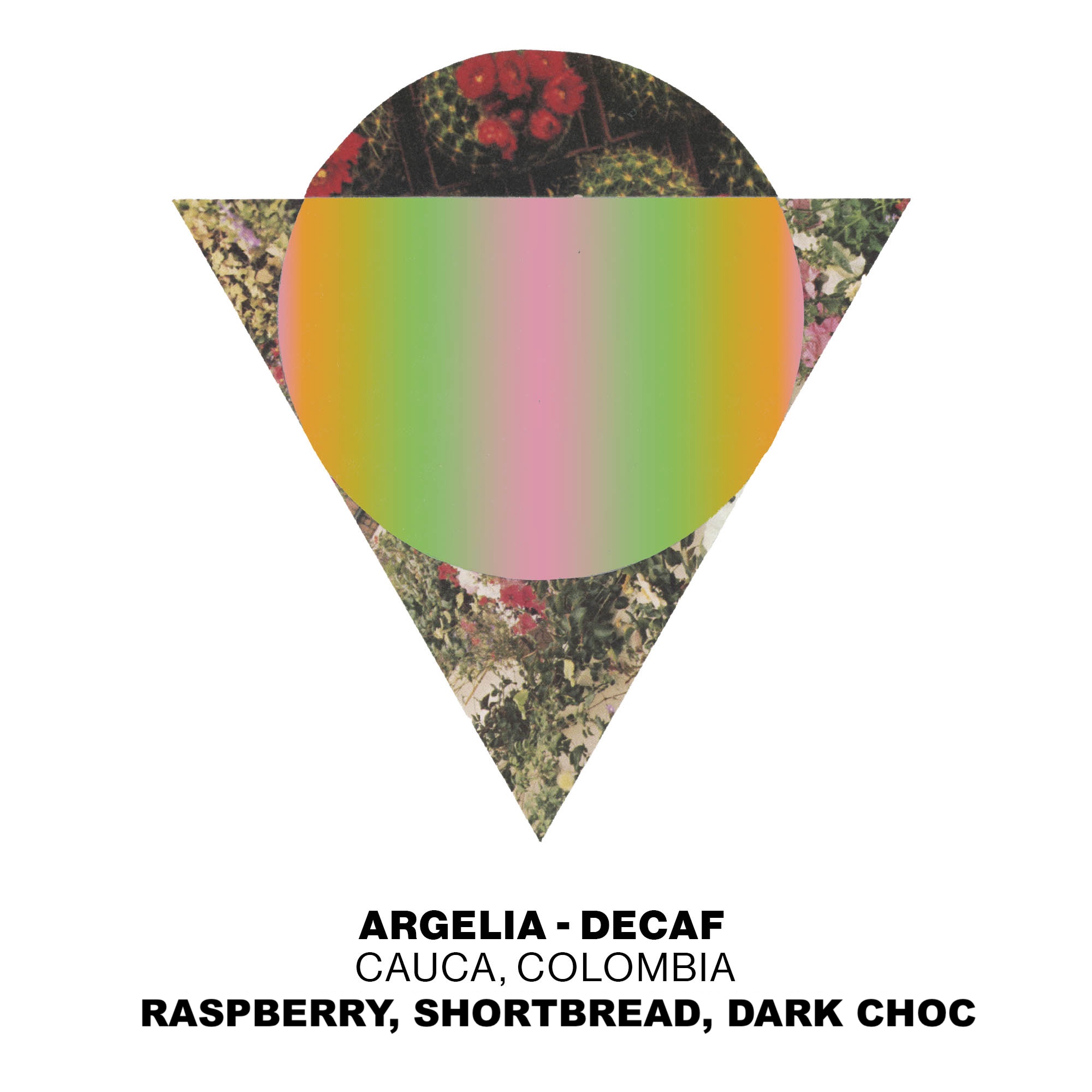 Photo of Argelia Decaf