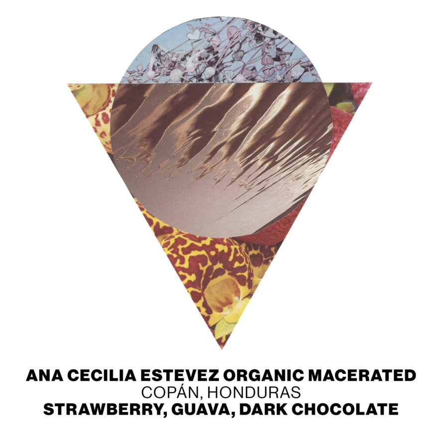 ACC_Tile_Ana_Cecilia