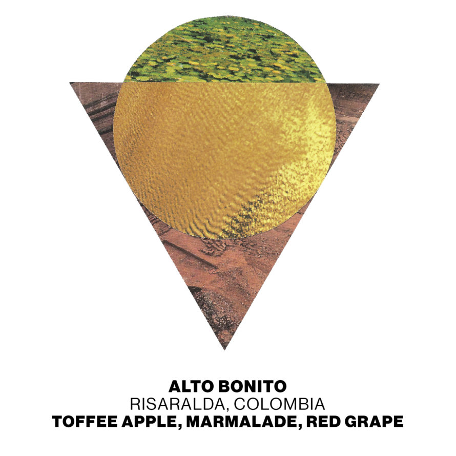 ACC_Alton_Bonito_Tiles