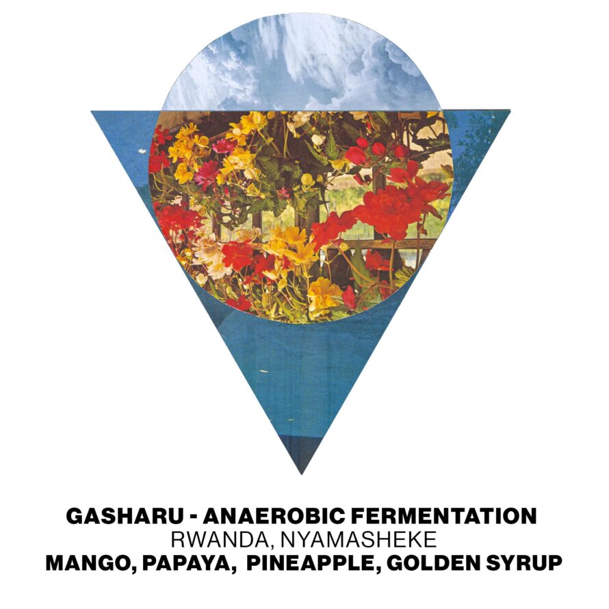 Gasharu