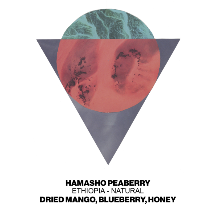 Hamasho Peaberry - Ethiopia
