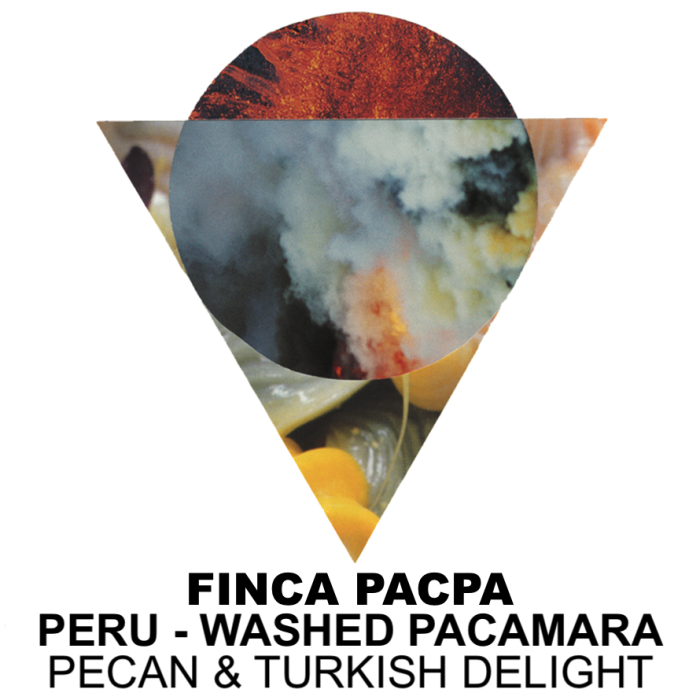 Finca Pacpa