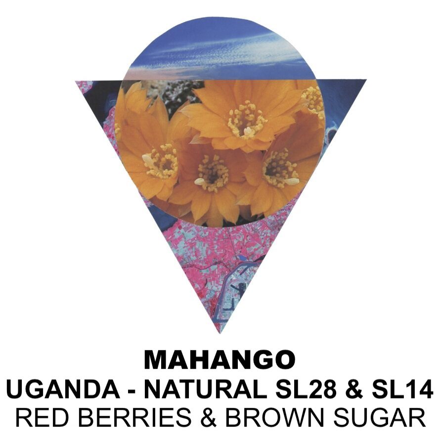 Photo of Mahango - Uganda