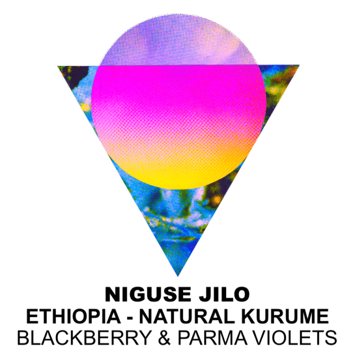 Niguse Jilo - Ethiopia