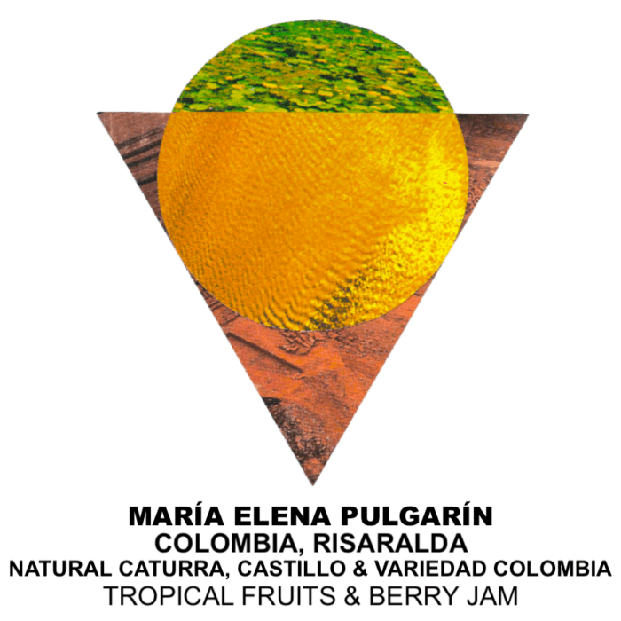 María Elena Pulgarín